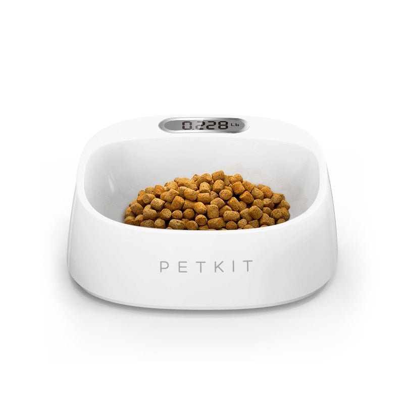 Cat feeding facilities - linilee