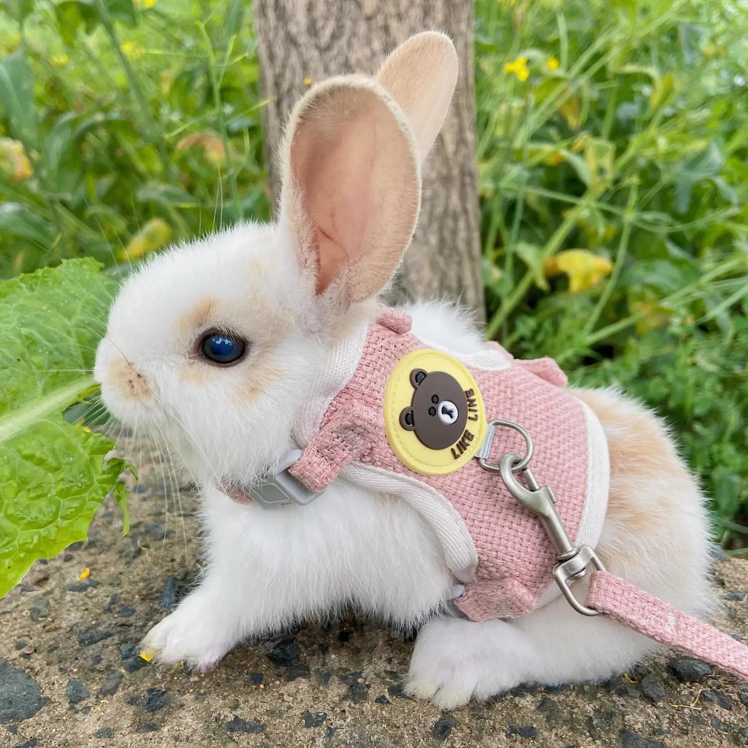 Rabbit accessories