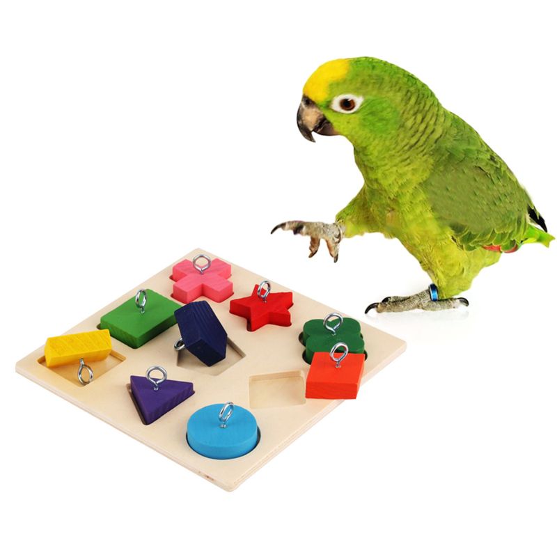 Toys Parrot Interactive Training Colorful Wooden Block Birds - linilee