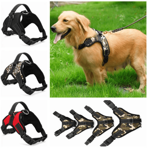 Dog Collar Harness. - linilee