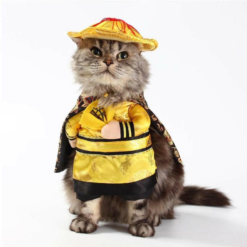 Funny Cat costumes Clothes Cat Christmas Headwear - linilee