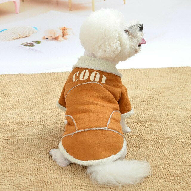 Cute Dog Jacket Winter Warm Dog Clothes - linilee