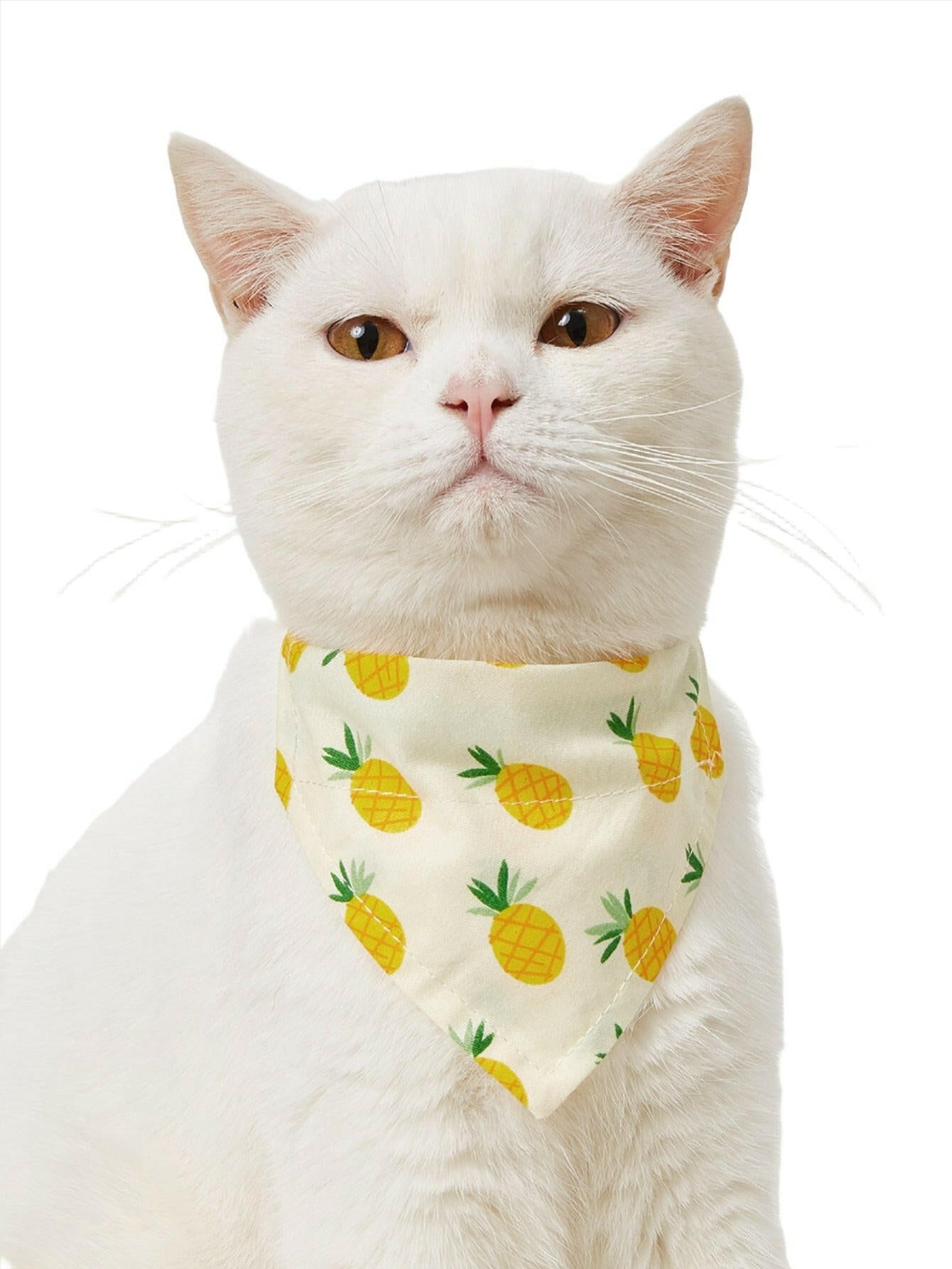 Pet Saliva Towel Cat Triangle Towel Cat Collar - linilee