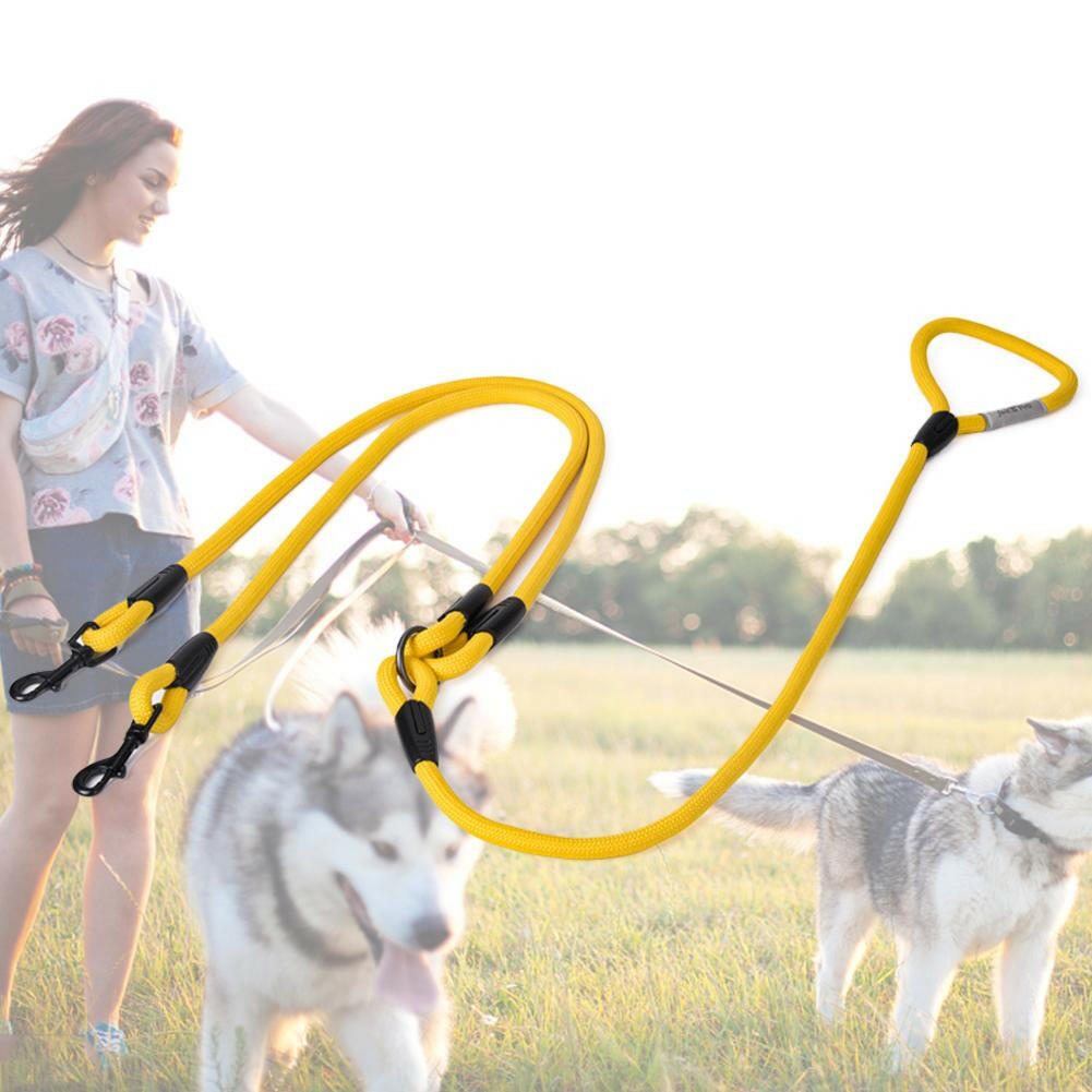 Double-Headed Dog Leash Pulls Two Dogs. - linilee