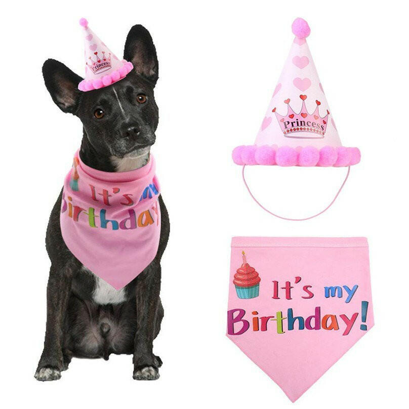 dog birthday decorations Headwear Caps Hat Party. - linilee