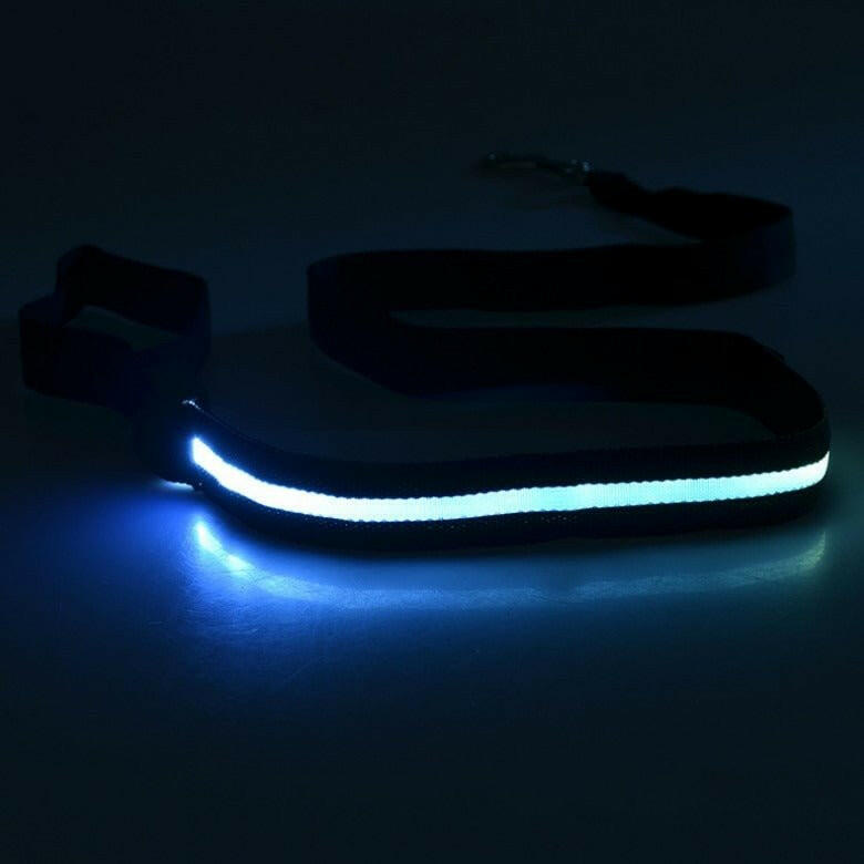 LED Light USB Flashing Light Traction Rope Dog Leash. - linilee