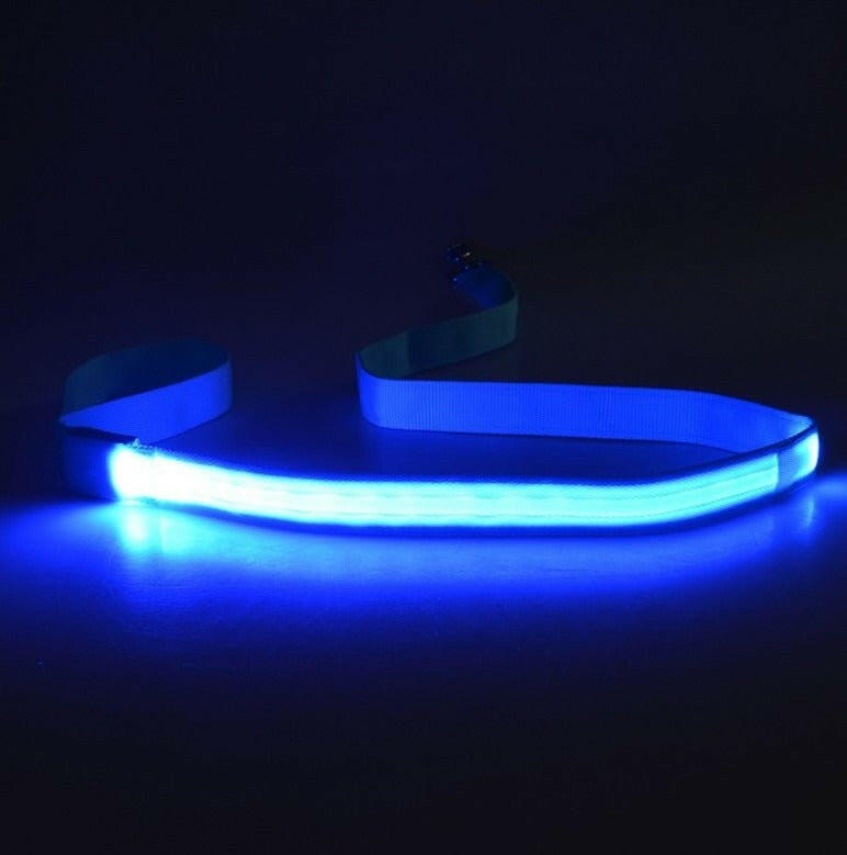 LED Light USB Flashing Light Traction Rope Dog Leash. - linilee