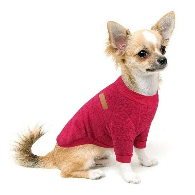 Dog Clothes For Small Dogs. - linilee