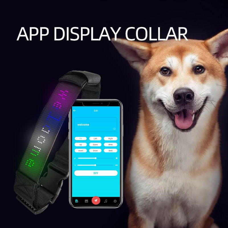 Dog Collar Led Glow Collar Multi-Color - linilee