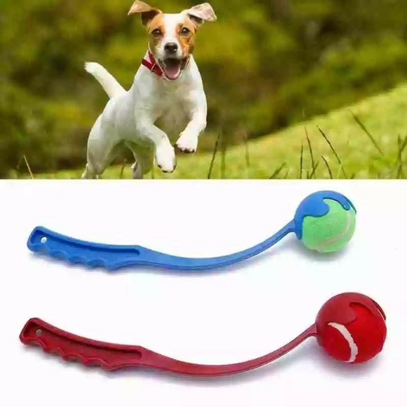 Toys Pet Supplies Outdoor Sports Dog Toy Ball. - linilee