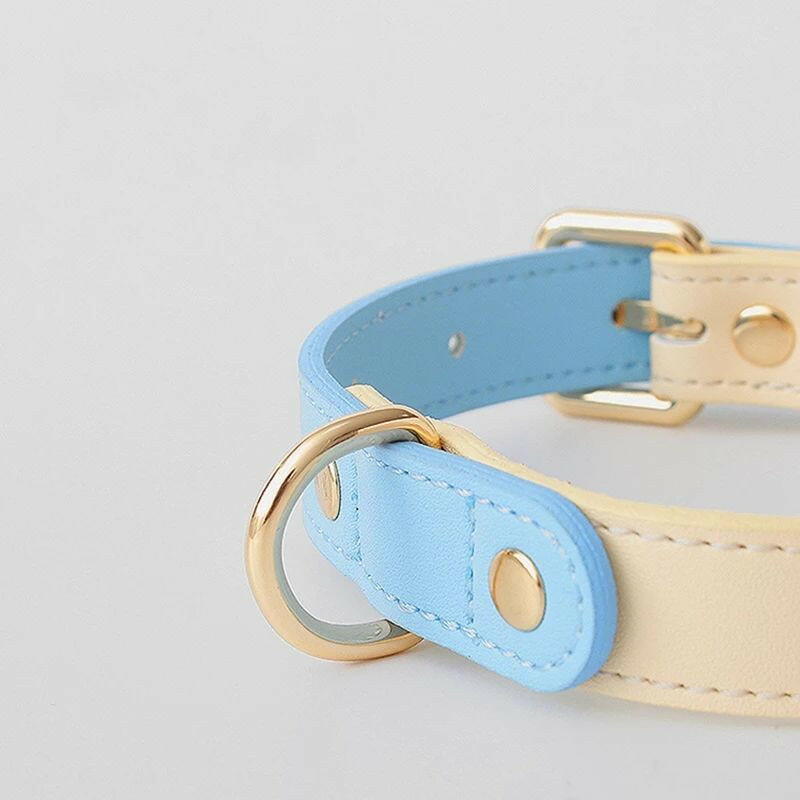 Cat Collar Leash . - linilee