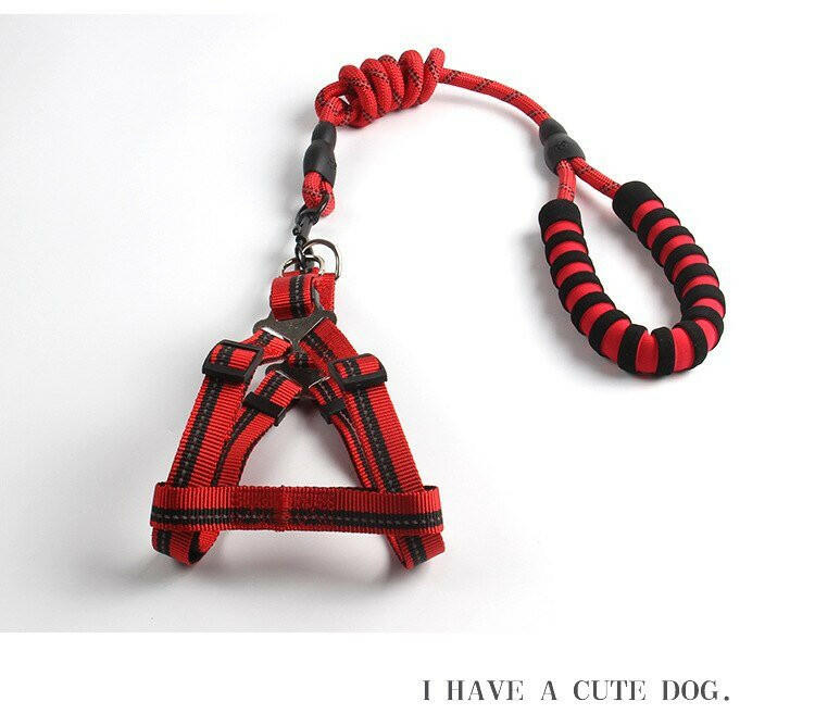 Dog Leash 1.2m - linilee