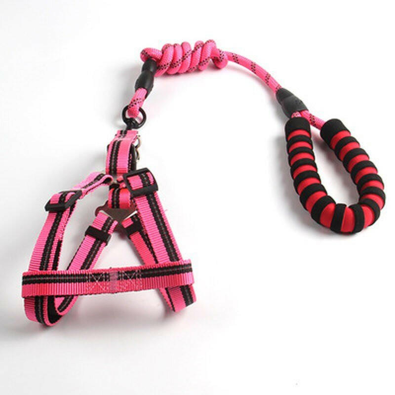 Dog Leash 1.2m - linilee