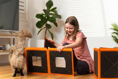 Cardboard Cat House. - linilee