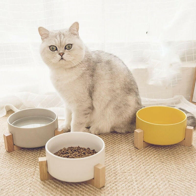 Pet Cat Bowl, Ceramic Bowl, Drinking Water, - linilee