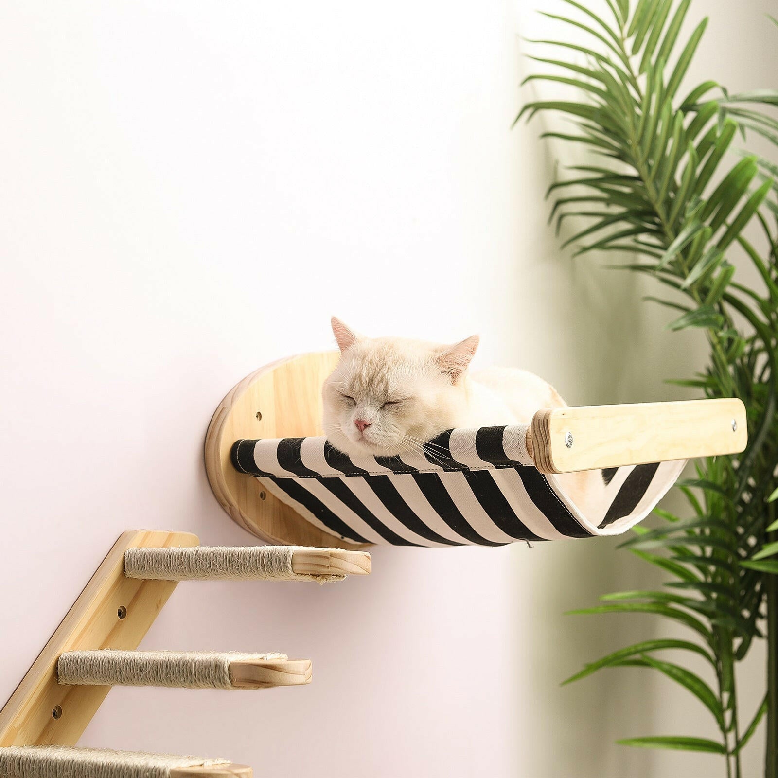 Cat Climbing Frame Wall-Mounted Solid. - linilee