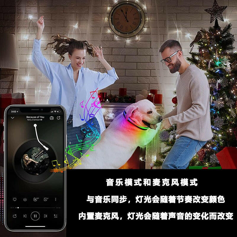 Led Dog Collar. light up dog collar - linilee