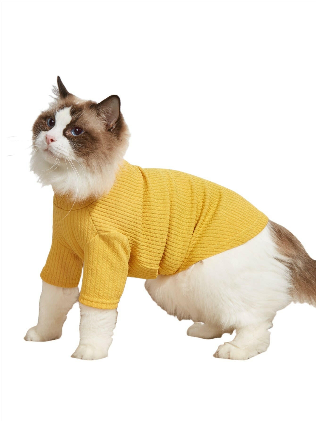 Thin Pet T-Shirt Solid Color Cat Clothes - linilee