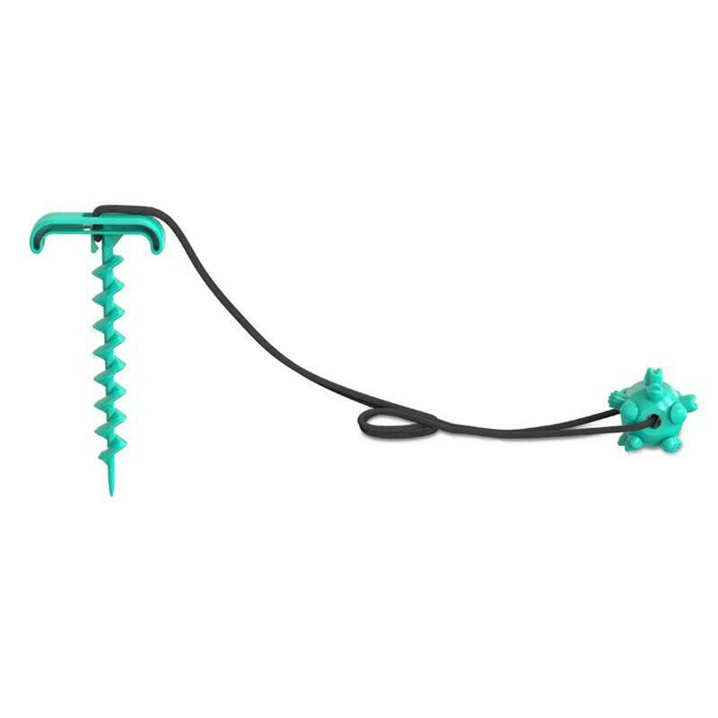 tying dog leash dog toy. - linilee