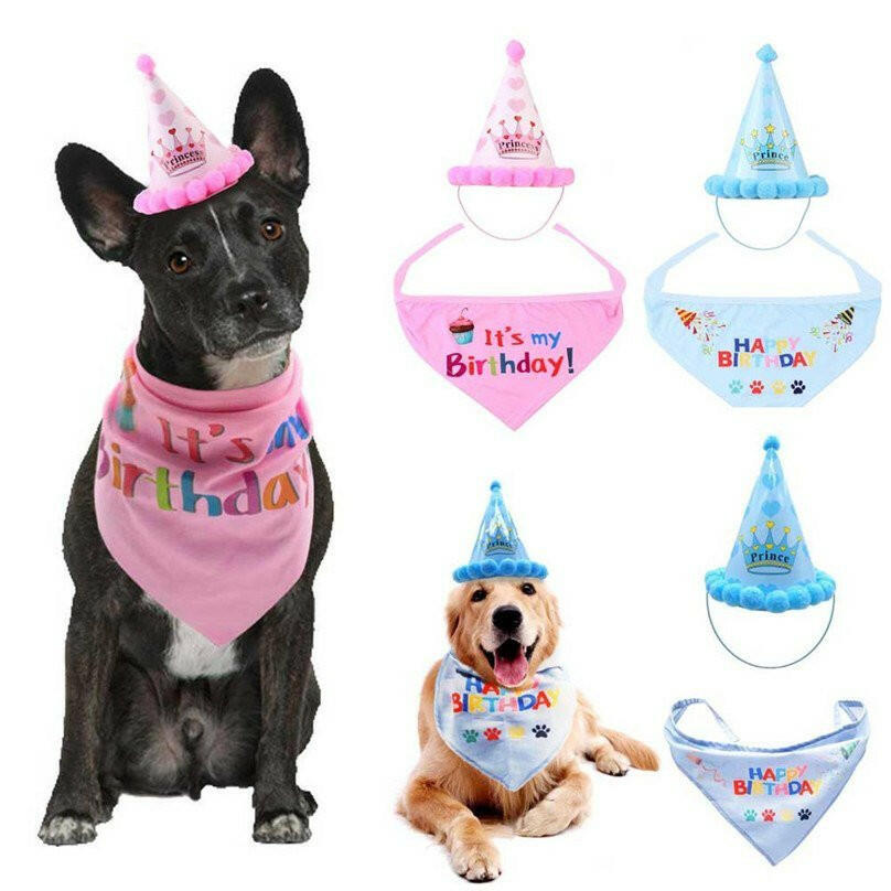 dog birthday decorations Headwear Caps Hat Party. - linilee