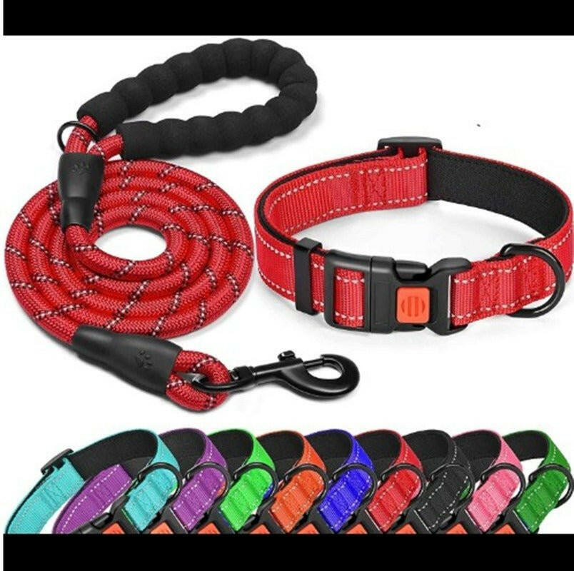 Dog Collar Leash. - linilee