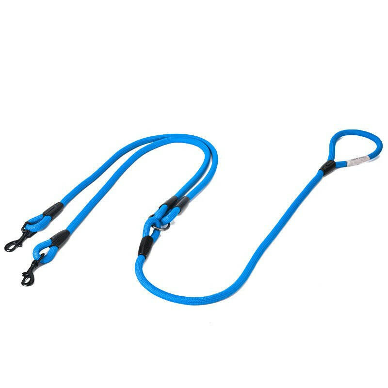 Double-Headed Dog Leash Pulls Two Dogs. - linilee