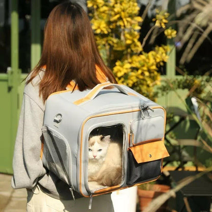 Cat Backpack Out Portable Canvas. - linilee