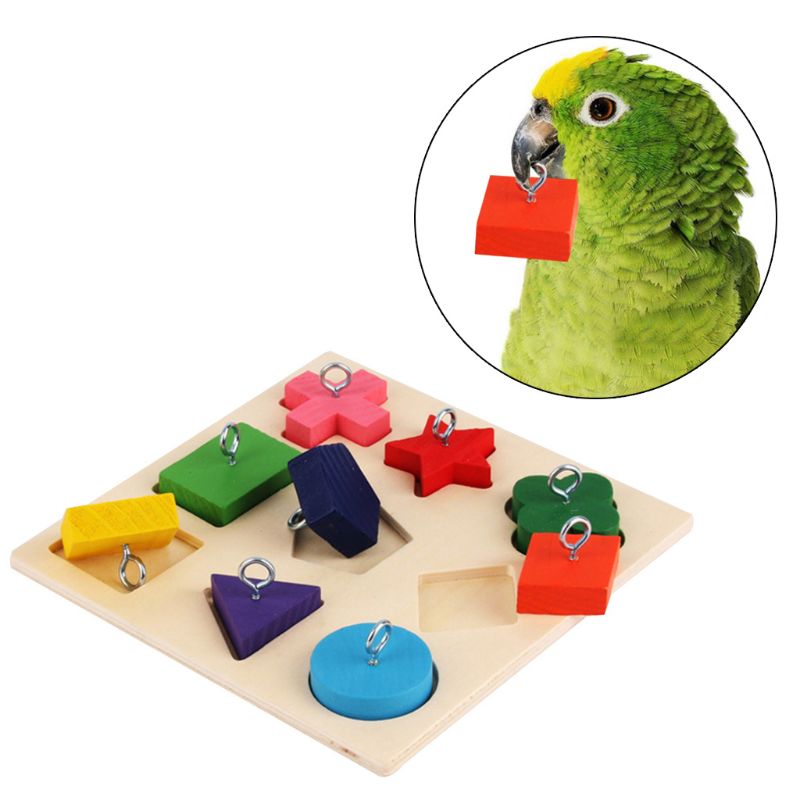 Toys Parrot Interactive Training Colorful Wooden Block Birds - linilee