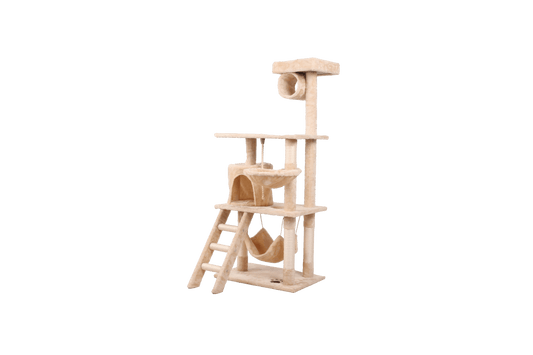 cat climbing wall Frame - linilee