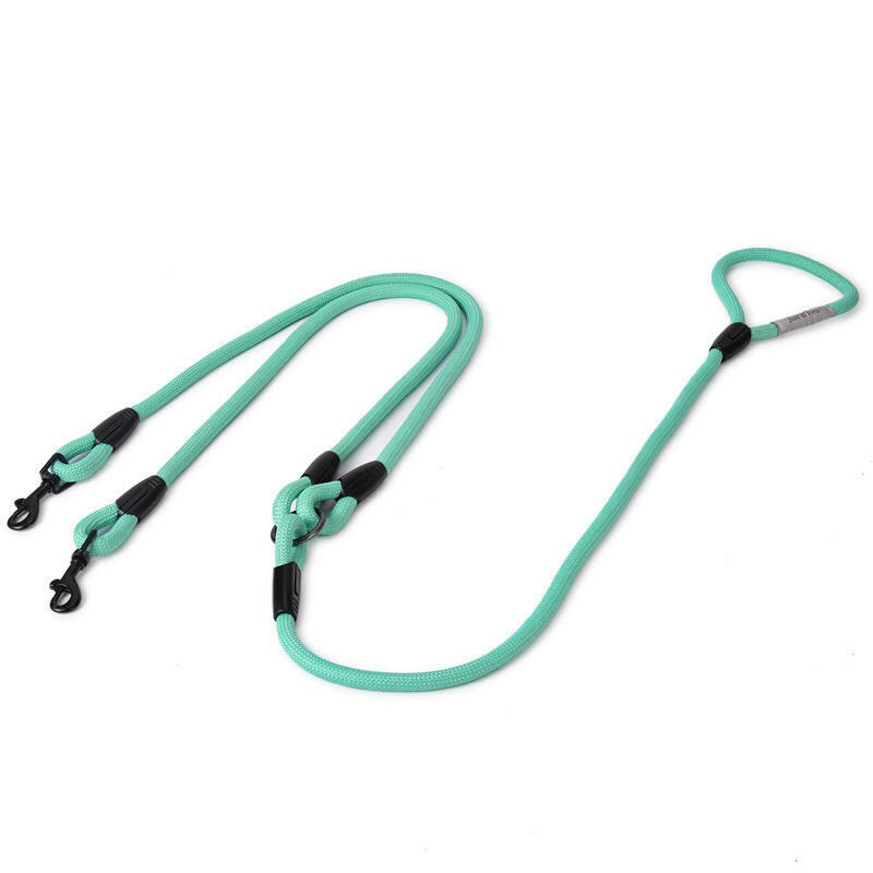 Double-Headed Dog Leash Pulls Two Dogs. - linilee