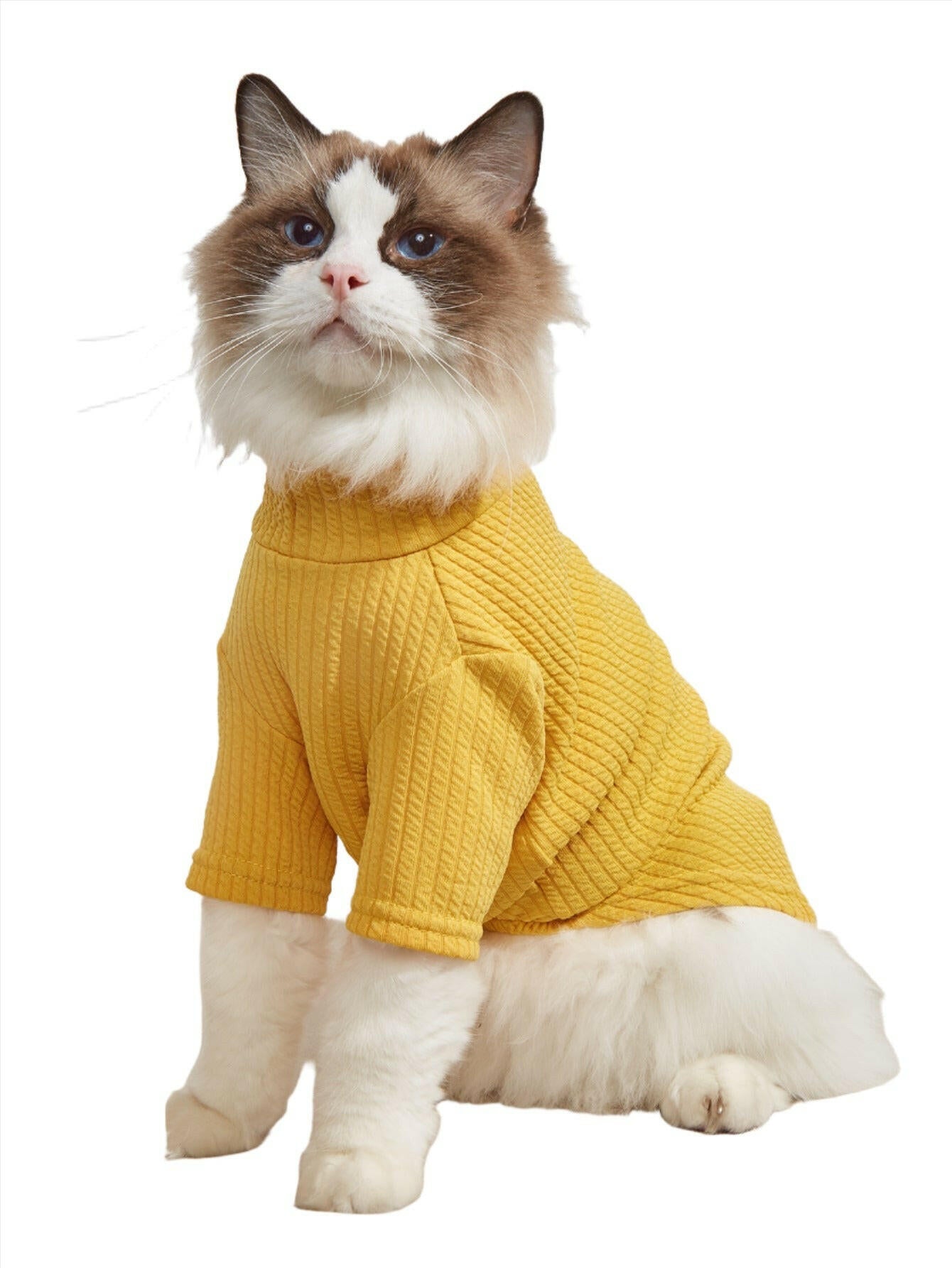 Thin Pet T-Shirt Solid Color Cat Clothes - linilee