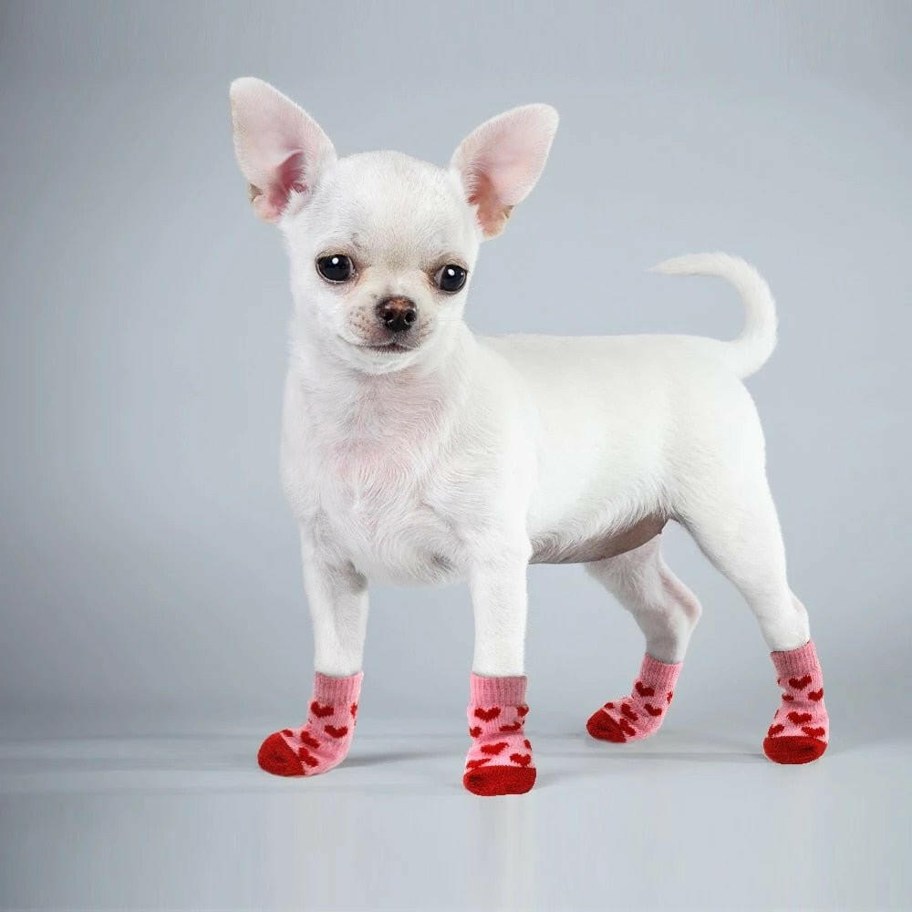 4pcs/set Dog Shoes Lovely Warm. Dog Socks - linilee