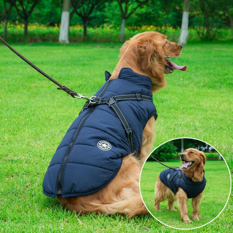 Large Pet Dog Jacket With Harness Dog Clothes - linilee