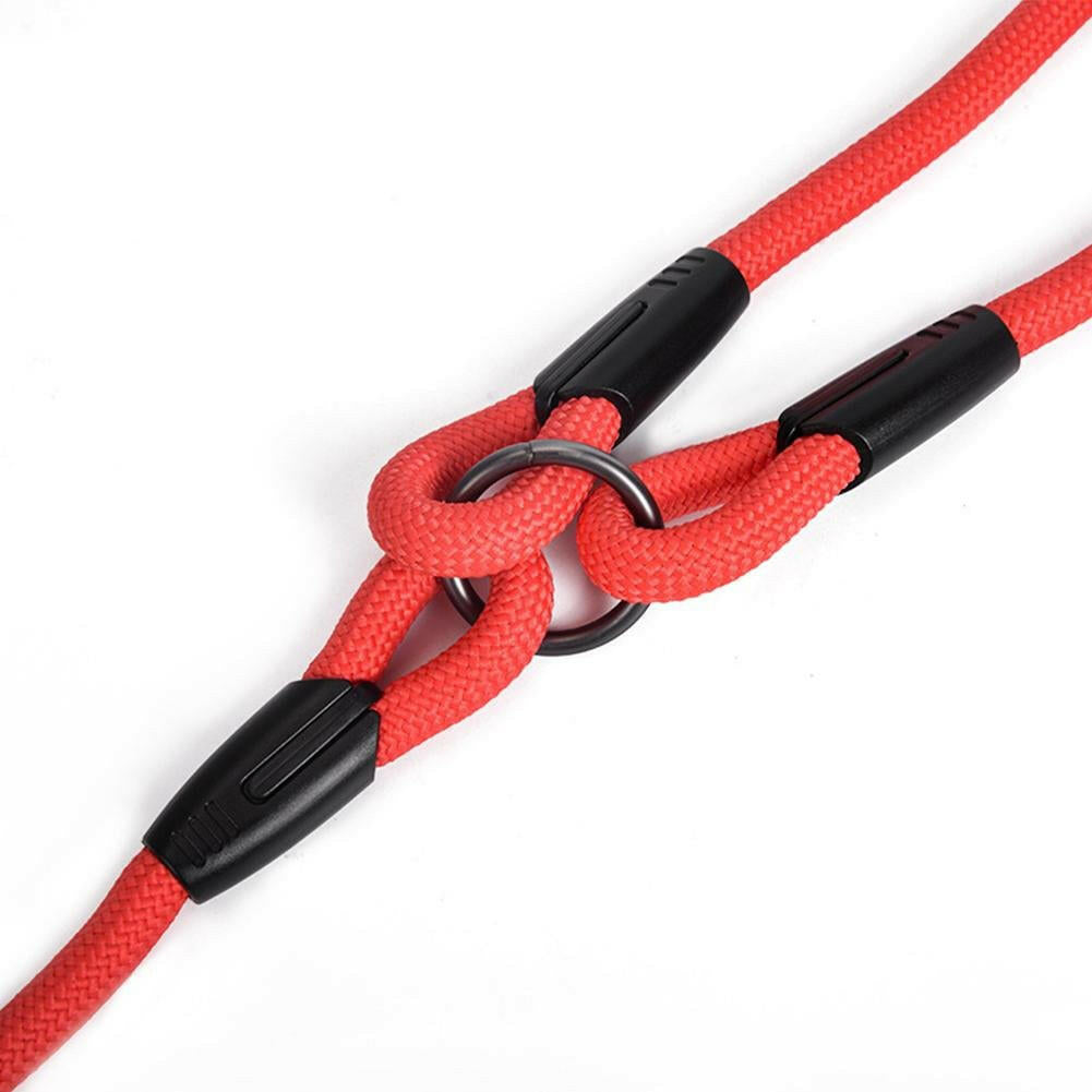 Double-Headed Dog Leash Pulls Two Dogs. - linilee