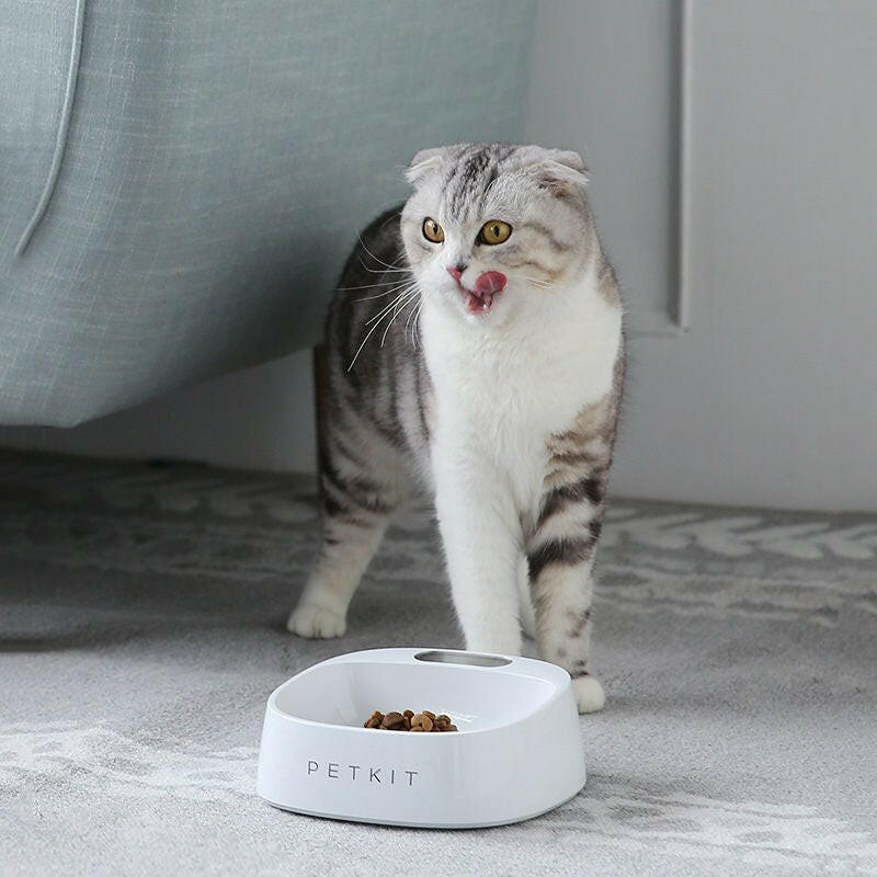 Pet smartbowl food bowl digital. - linilee