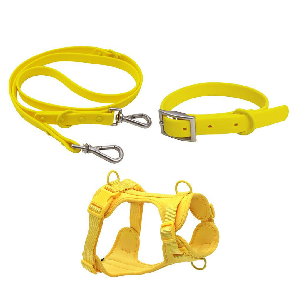 PVC Leash cat Small And Medium-Sized. - linilee