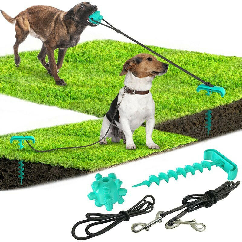 tying dog leash dog toy. - linilee