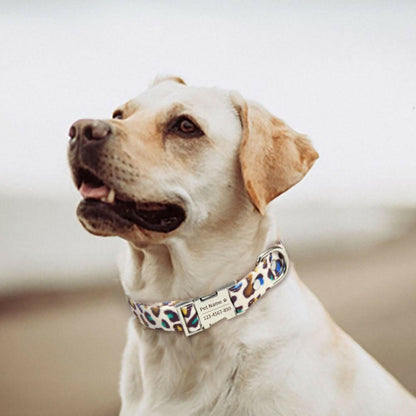 Set Metal Buckle Customizable Dog Collar - linilee