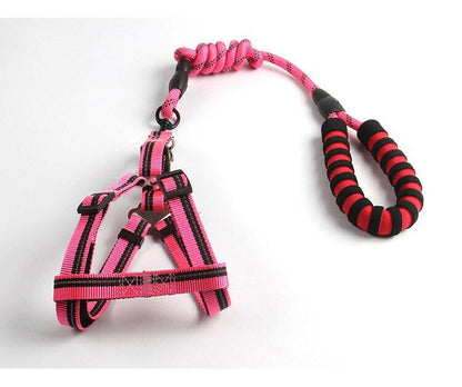 Dog Leash 1.2m - linilee