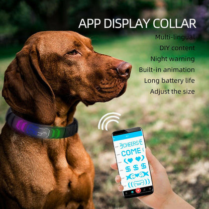 Dog Collar Led Glow Collar Multi-Color - linilee