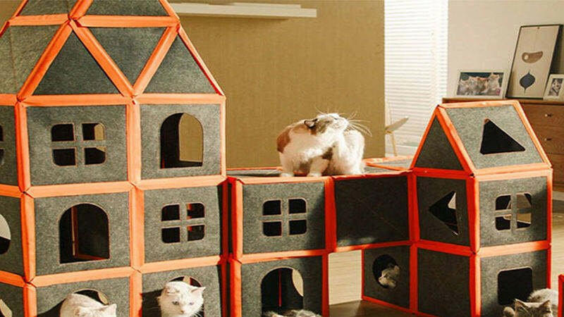 Cardboard Cat House. - linilee