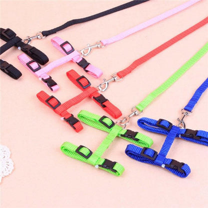 Cat Lead Leash Harness. - linilee