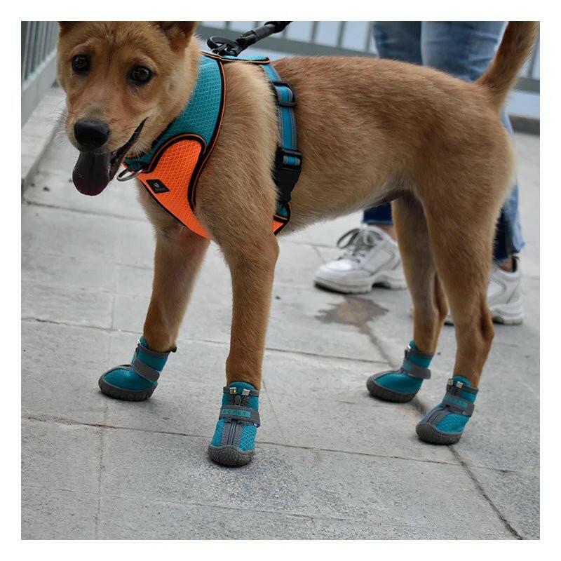 Dog Shoes For Small Breeds. Anti-slip - linilee