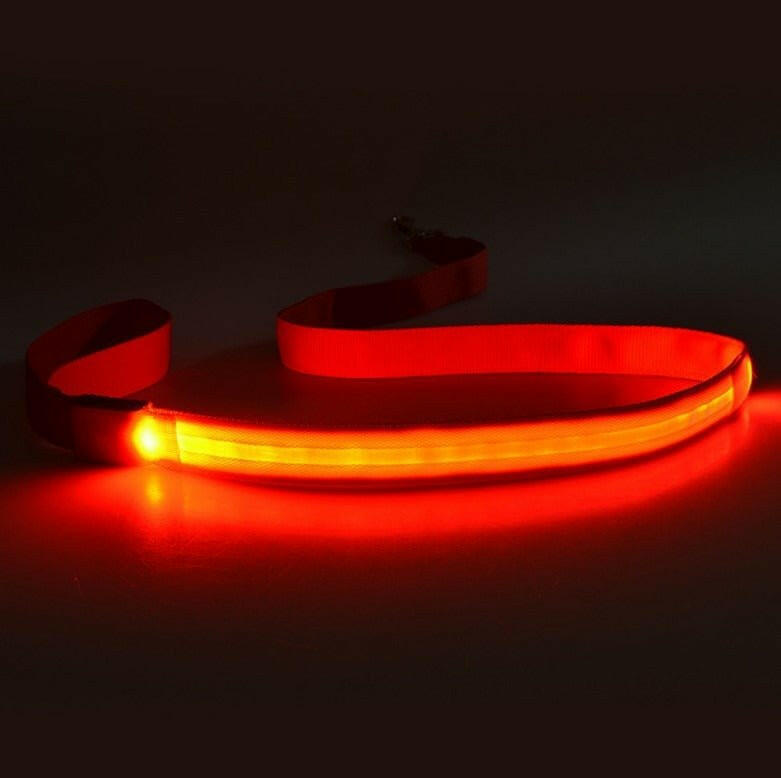 LED Light USB Flashing Light Traction Rope Dog Leash. - linilee