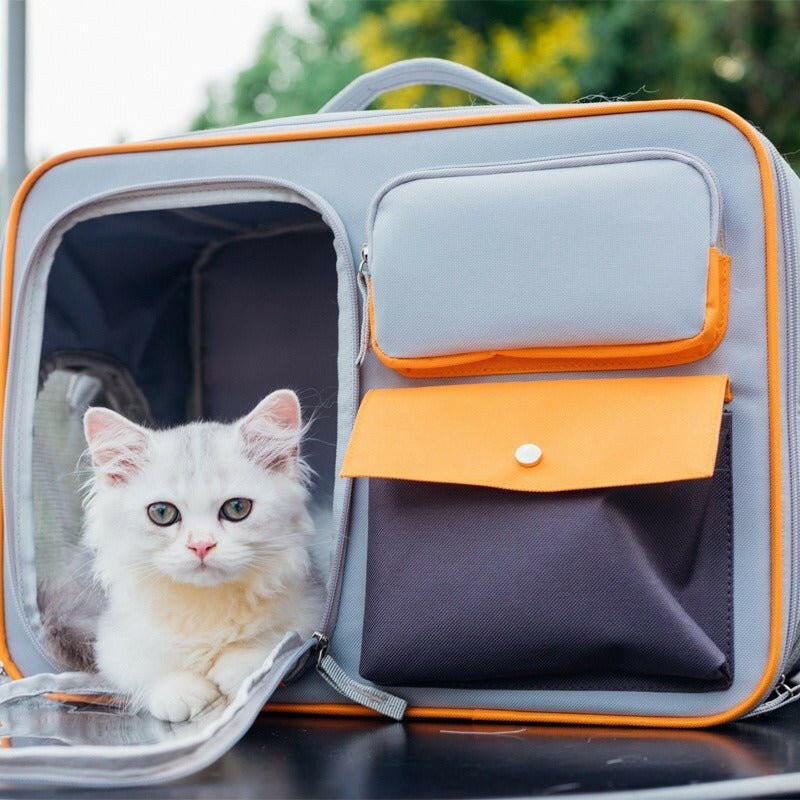 Cat Backpack Out Portable Canvas. - linilee