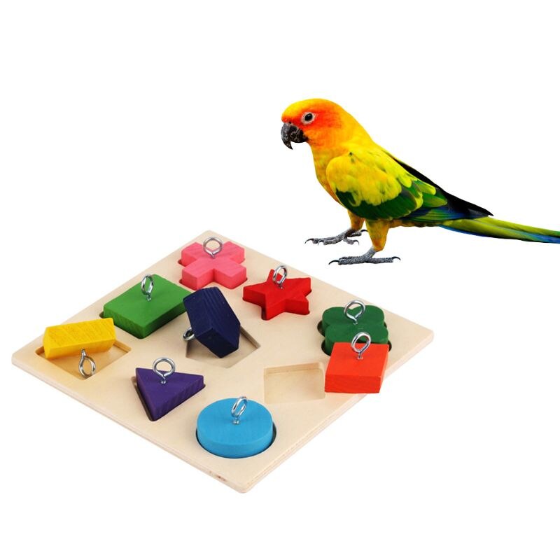 Toys Parrot Interactive Training Colorful Wooden Block Birds - linilee