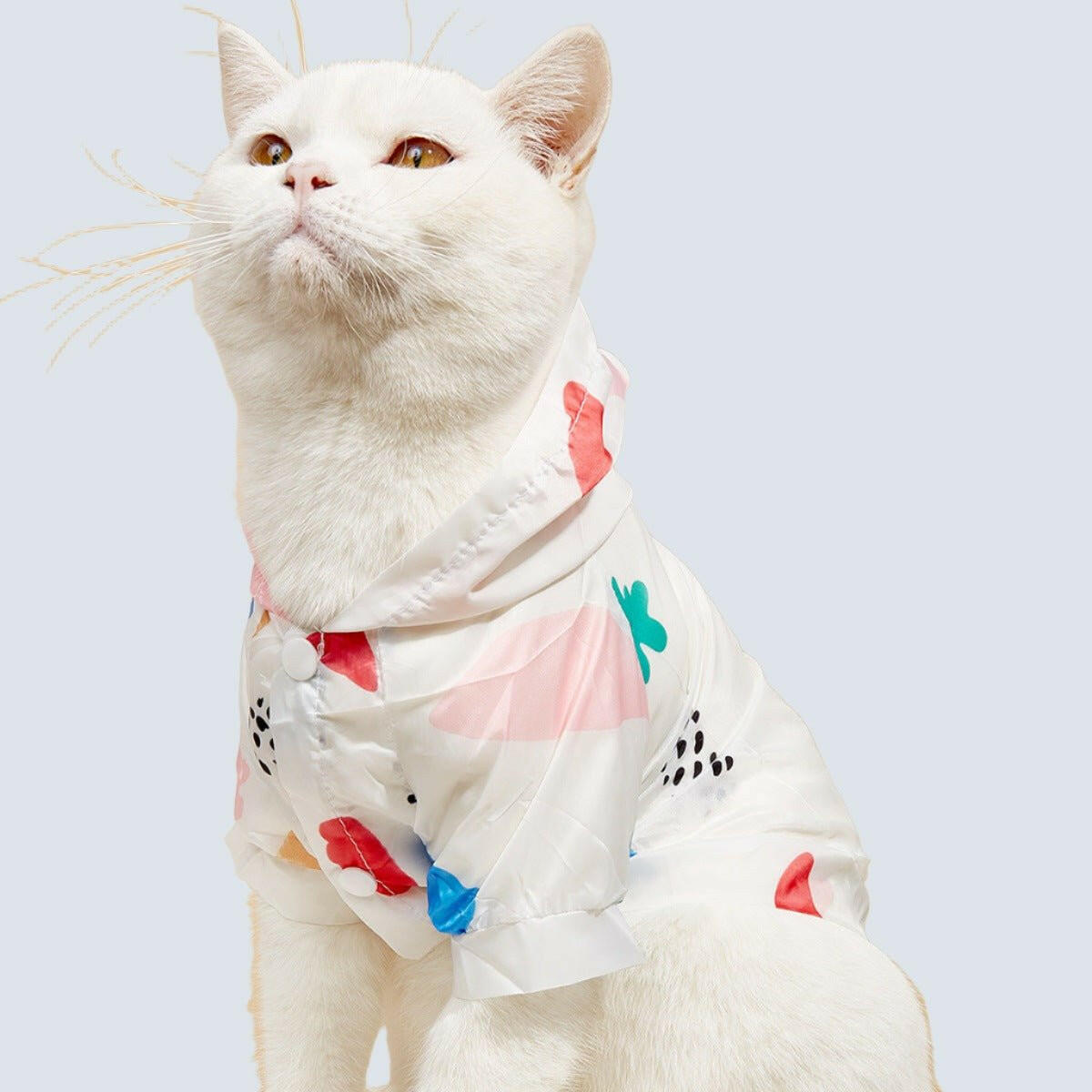 Summer New Pet Cat Supplies Shirt. - linilee