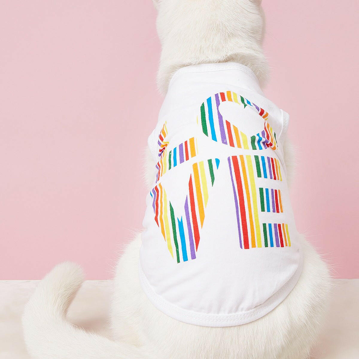 Pet Summer Clothes Cat clothing T-Shirt - linilee