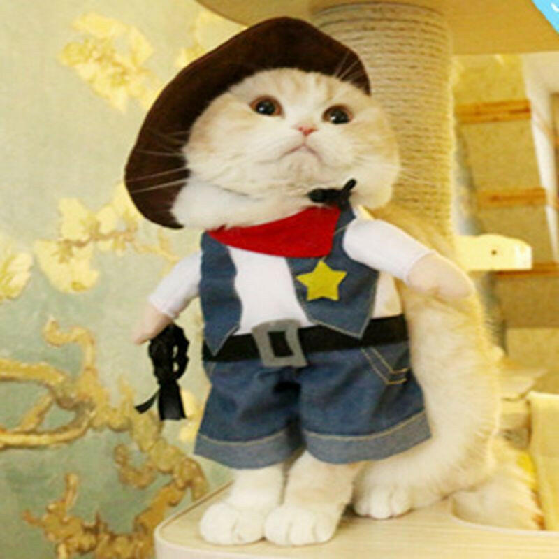 Funny Cat costumes Clothes Cat Christmas Headwear - linilee