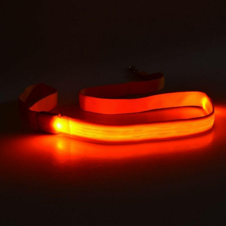 LED Light USB Flashing Light Traction Rope Dog Leash. - linilee